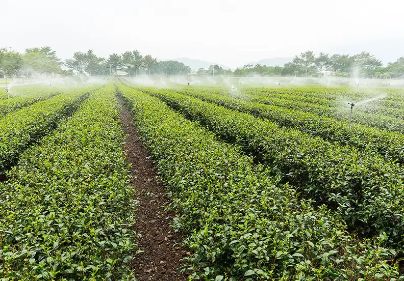 Tarımsal Sulamada Enerji Verimliliği Nasıl Artırılır?