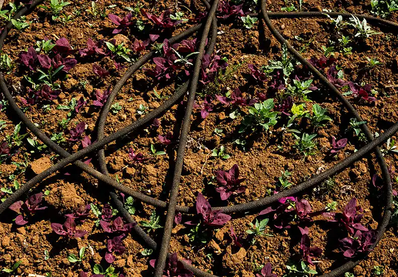 Toprakta Tuz Etkisini Hafifletir