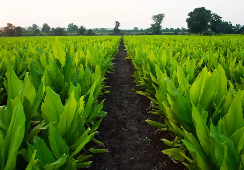 Daha Az Su Tüketimi
