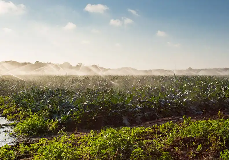 Türkiye’nin Sulama Modernizasyon Hamlesine Hibe Desteği Onaylandı